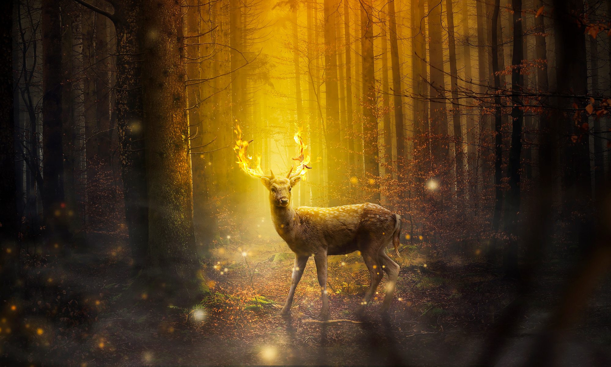 Are You Saved - Efisio Cross